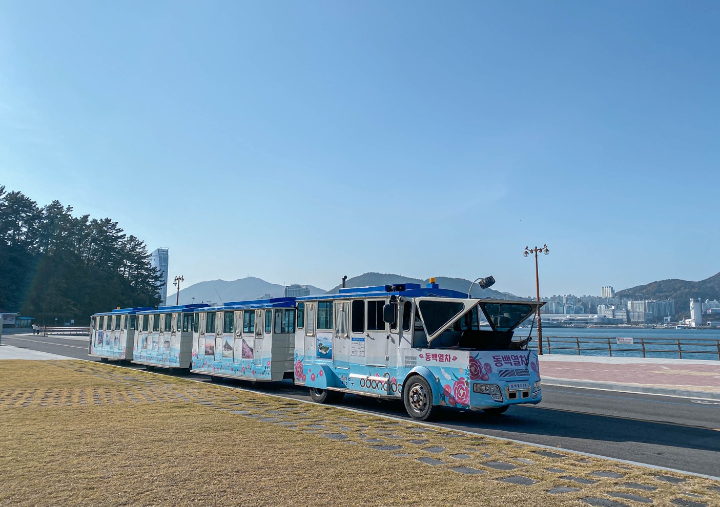 오동도 동백열차