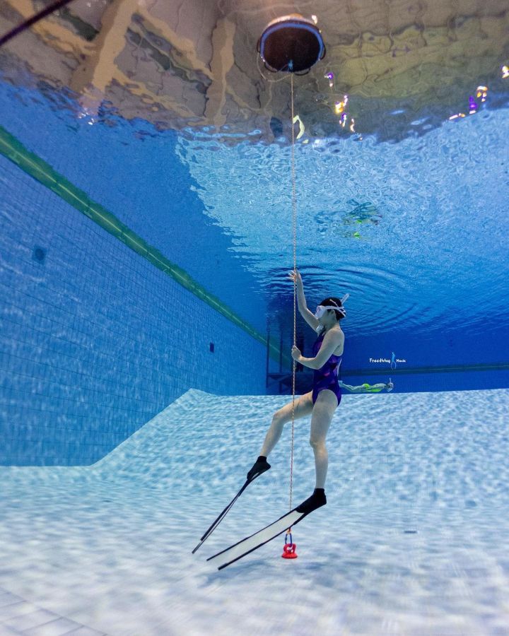 @freedivingmania