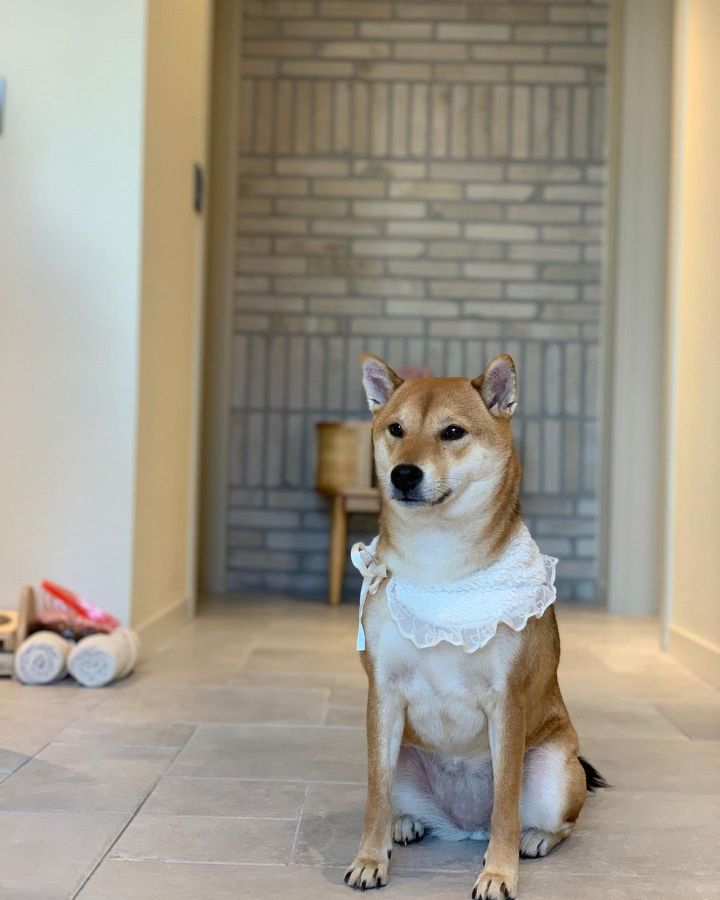@the.world.of_sadie