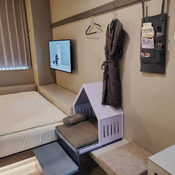 @ammonji_