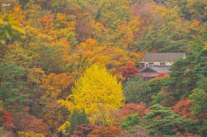 북한산