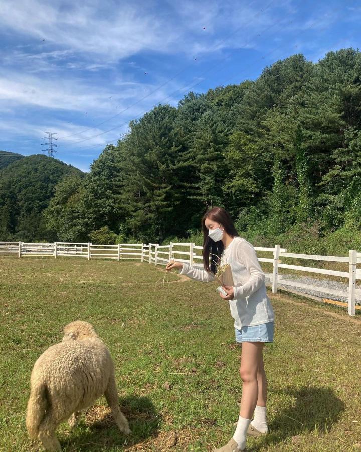 먹이주기 체험도 가능하다.