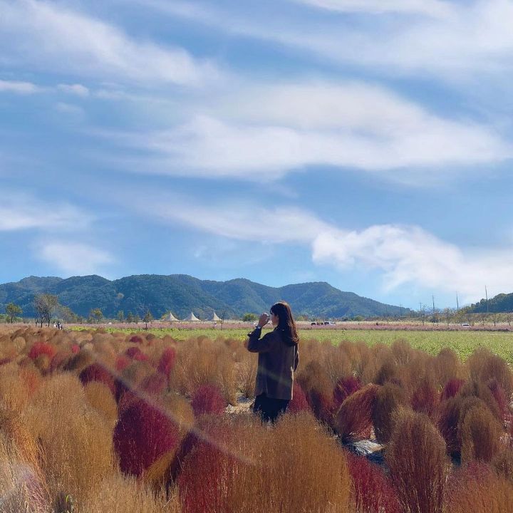의령 호국의병의 숲