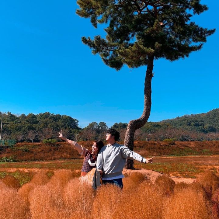 의령 호국의병의 숲