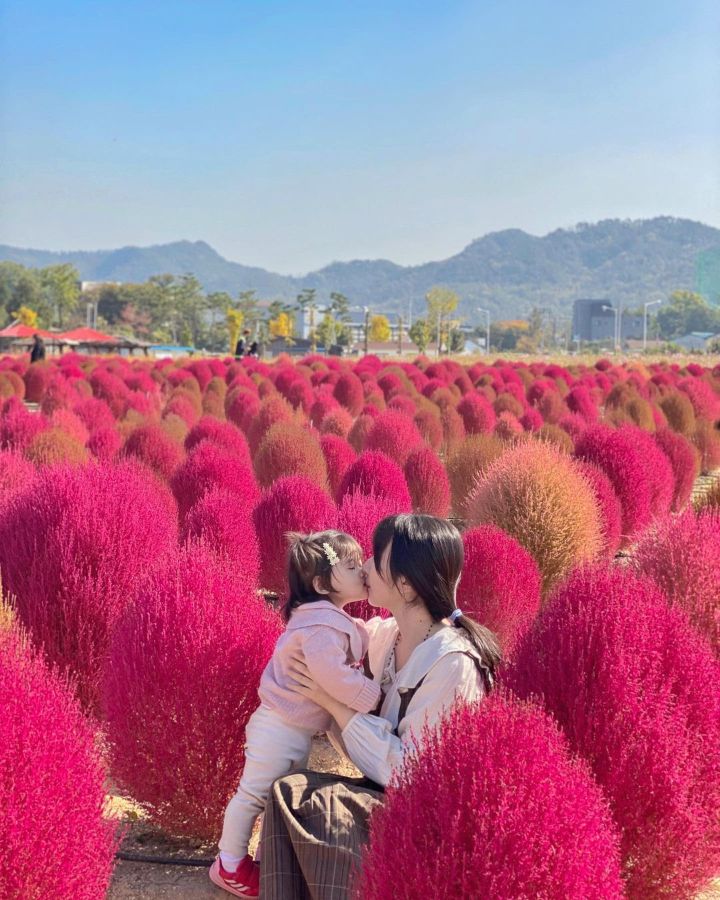 양주 나리공원