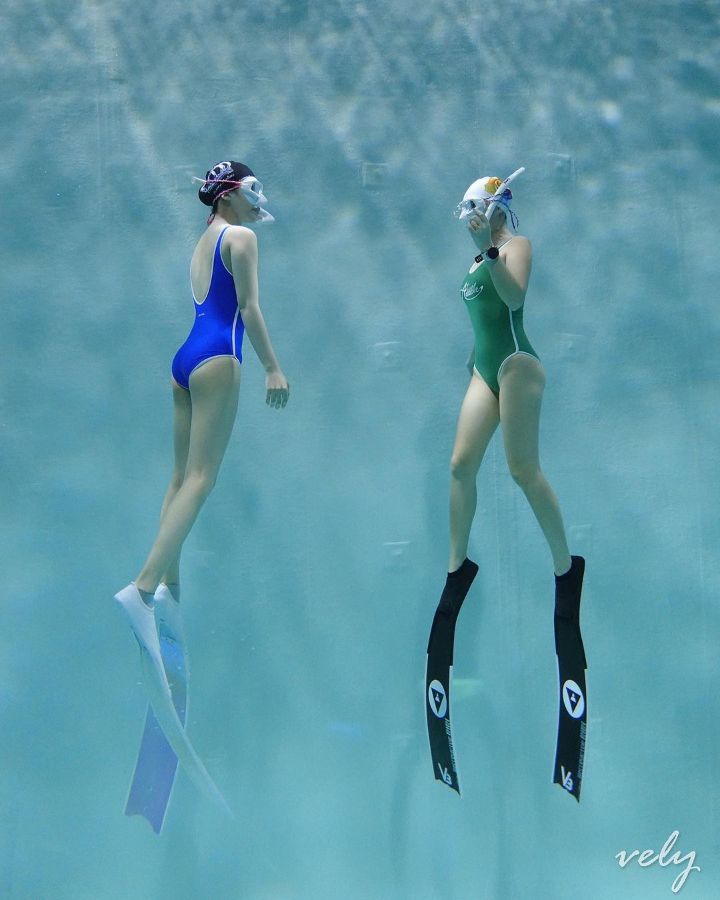 @freediver_bib