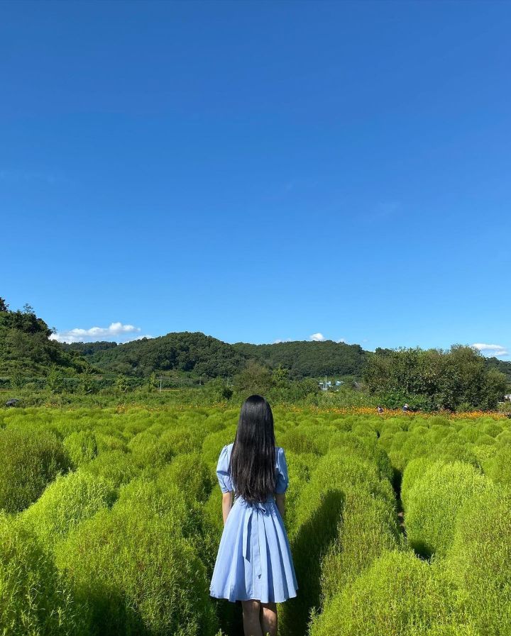 연천 댑싸리공원