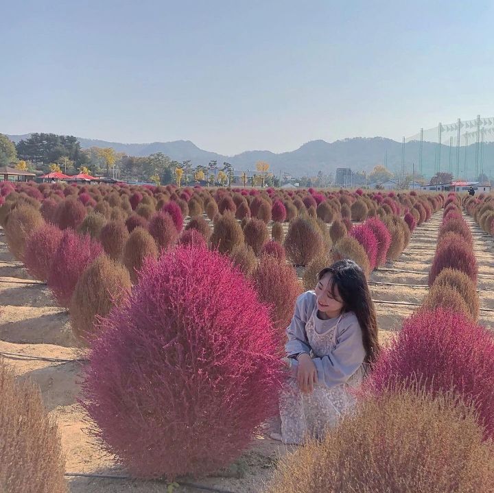 양주 나리공원