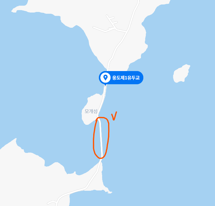 유두교