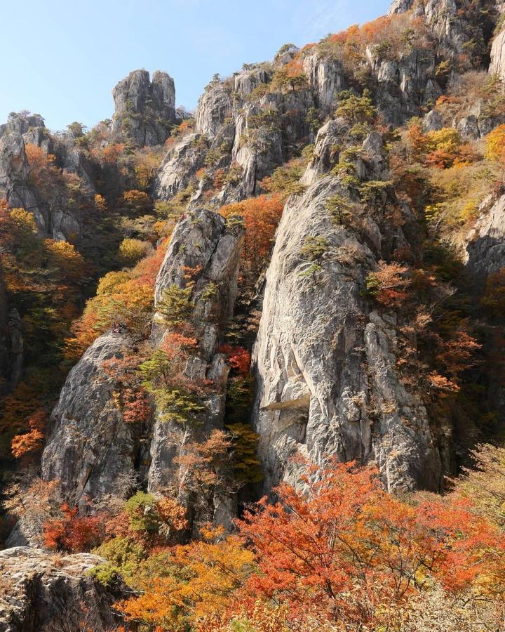 대둔산
