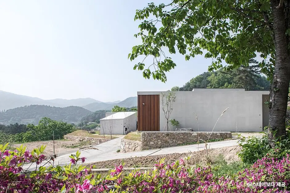 스테이보다 전경