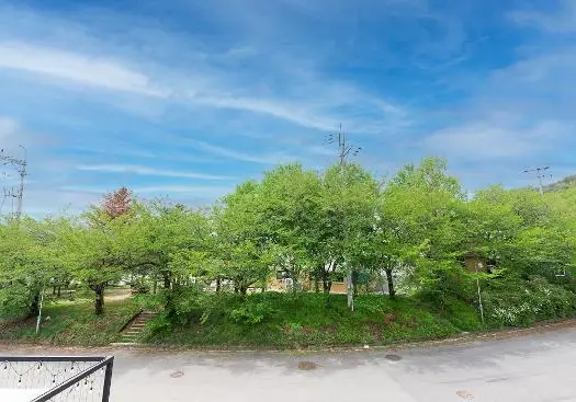구례